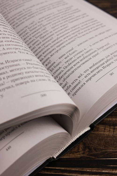 Дополнительное изображение книги «Концессия»