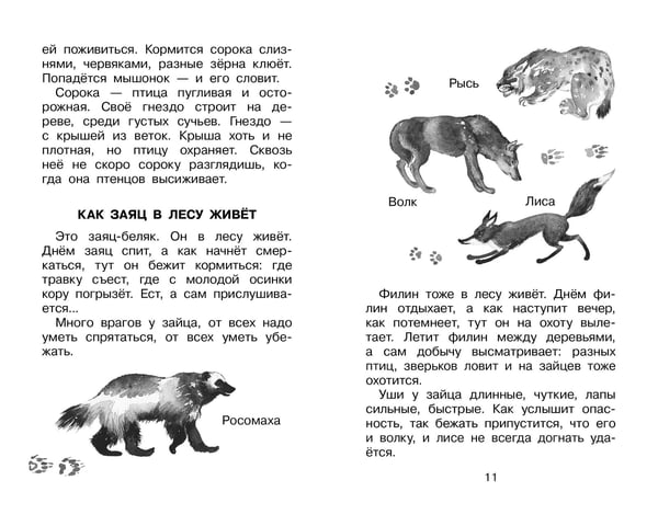 Дополнительное изображение книги «Фомка - белый медвежонок. Рассказы»