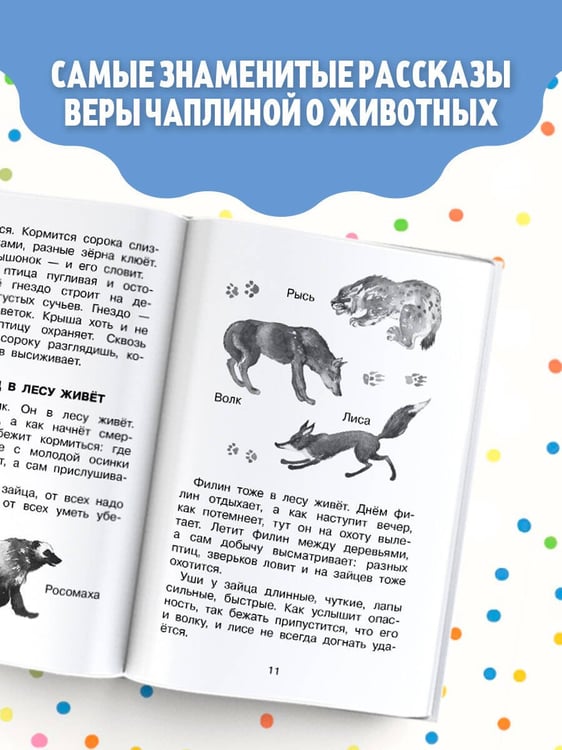 Дополнительное изображение книги «Фомка - белый медвежонок. Рассказы»