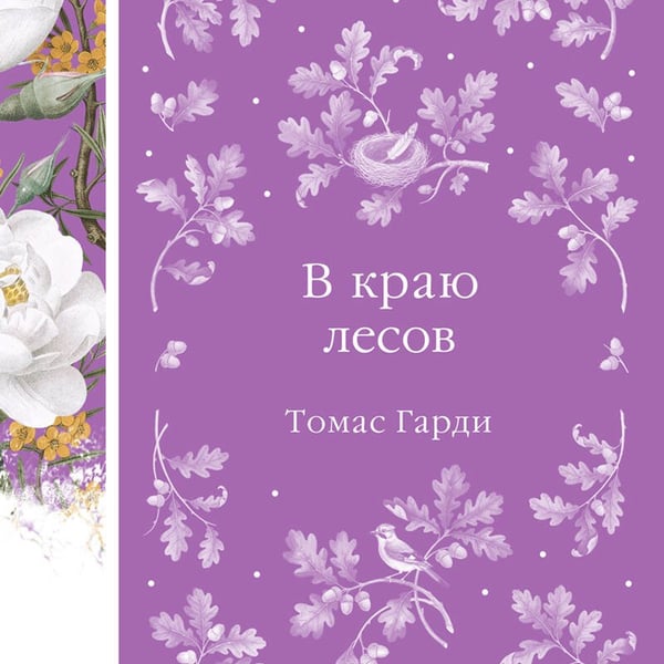 Дополнительное изображение книги «В краю лесов»