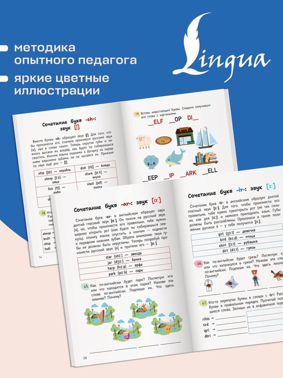 Дополнительное изображение книги «Английский язык. Activity book. Учимся читать»