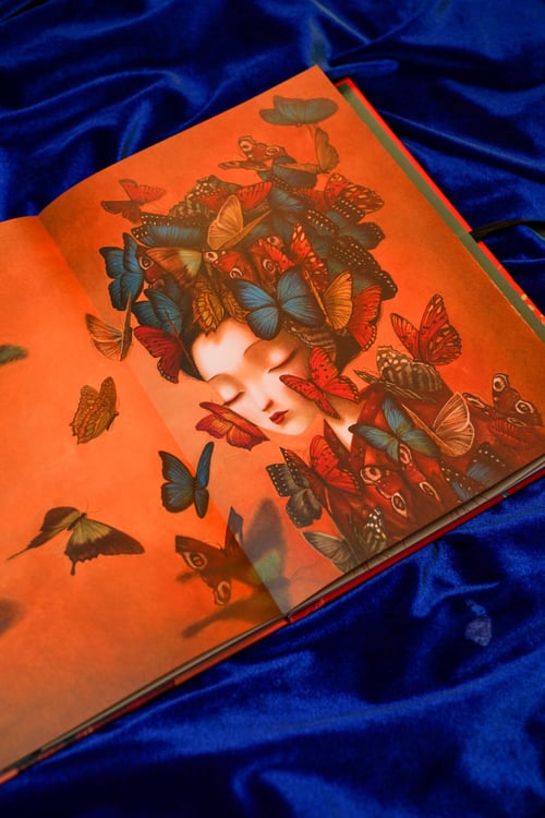 Дополнительное изображение книги «Мадам Баттерфляй»