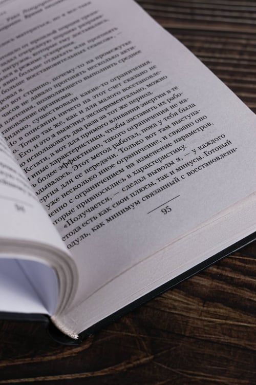 Дополнительное изображение книги «Системщик. Перевертыш»
