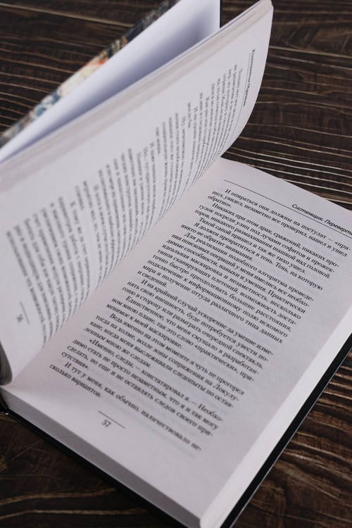 Дополнительное изображение книги «Системщик. Перевертыш»