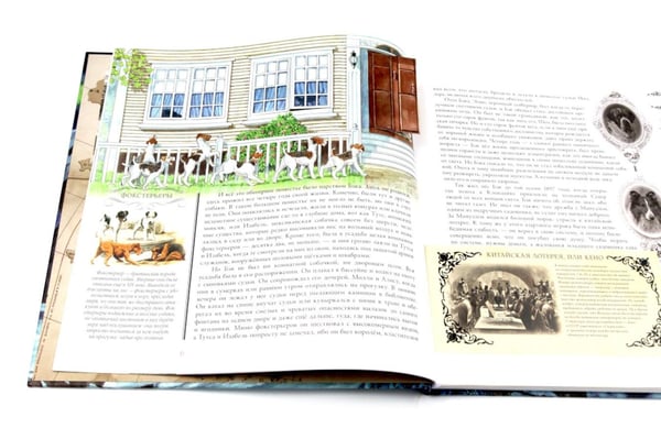 Дополнительное изображение книги «Зов предков»