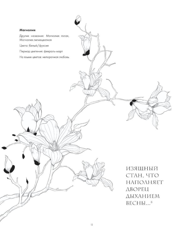 Дополнительное изображение книги «Искусство линий. Учимся рисовать в китайском стиле: от наброска до готовой иллюстрации»