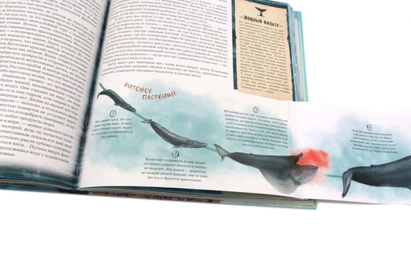 Дополнительное изображение книги «Книга-путешествие. Капитан Крузенштерн. Экспедиция "Кон-Тики" (комплект из 2-х книг)»