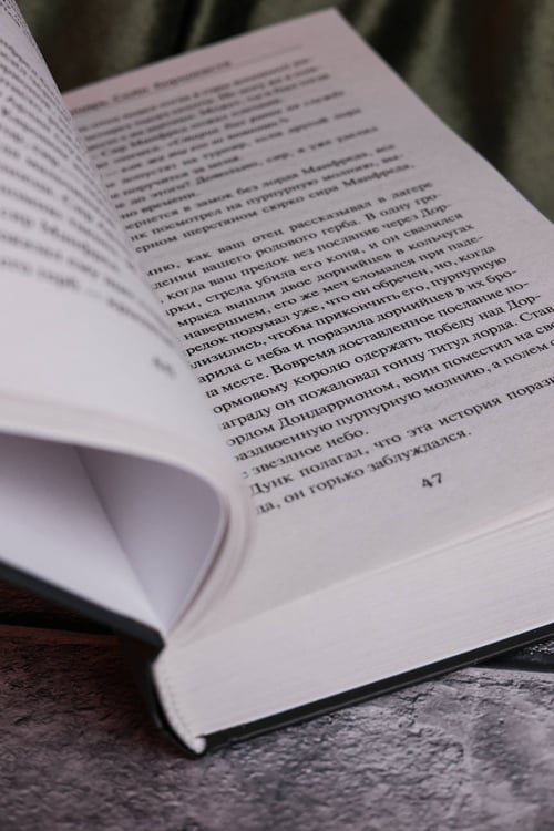 Дополнительное изображение книги «Рыцарь Семи Королевств»