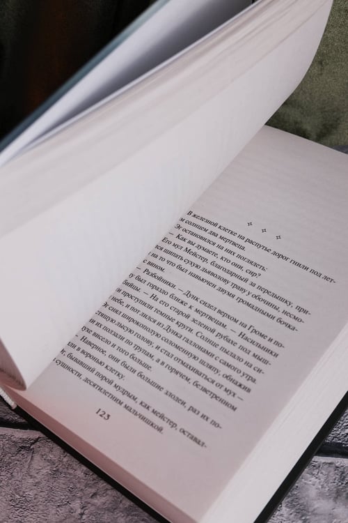 Дополнительное изображение книги «Рыцарь Семи Королевств»