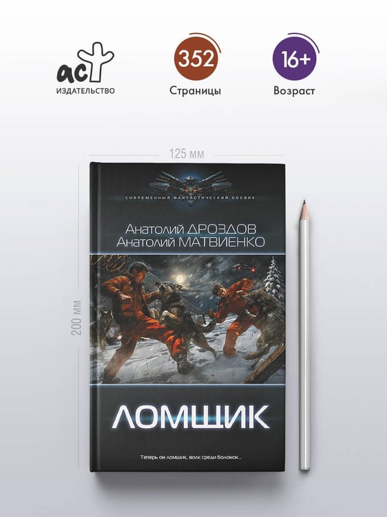 Дополнительное изображение книги «Ломщик»