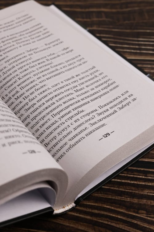 Дополнительное изображение книги «Ломщик»