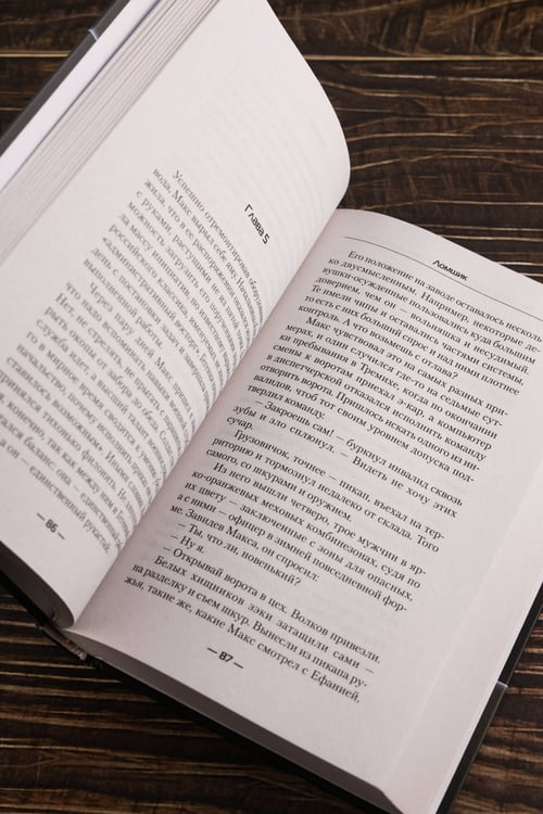 Дополнительное изображение книги «Ломщик»