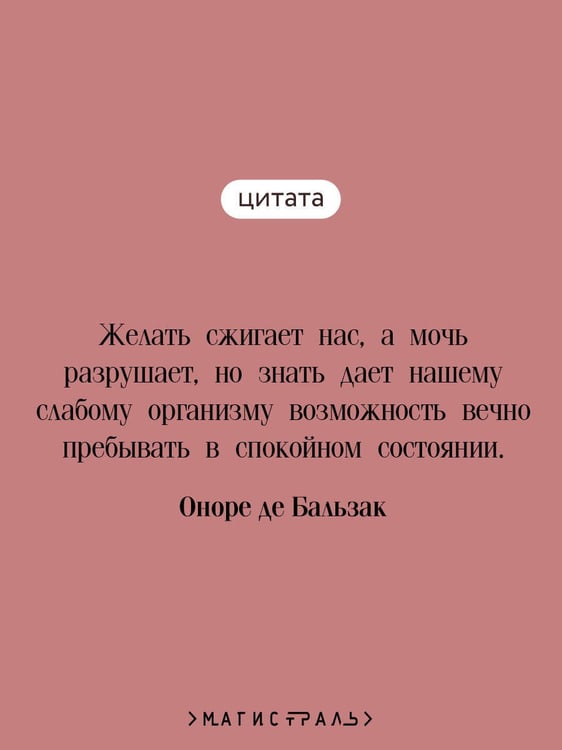 Дополнительное изображение книги «Шагреневая кожа»