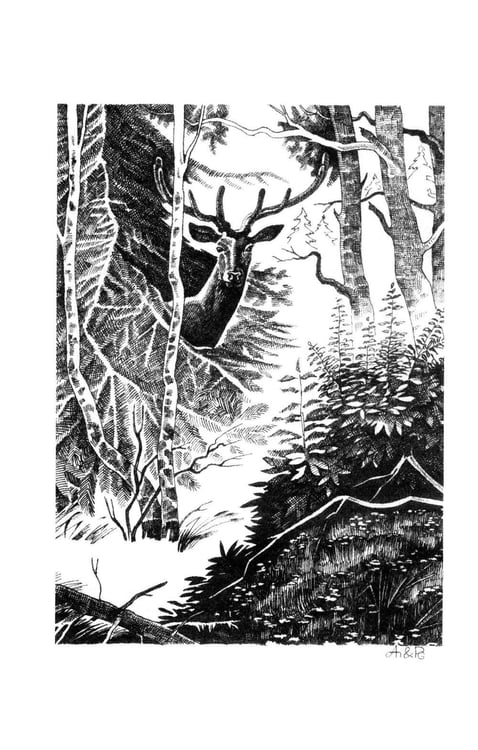 Дополнительное изображение книги «Таежная кровь: роман»