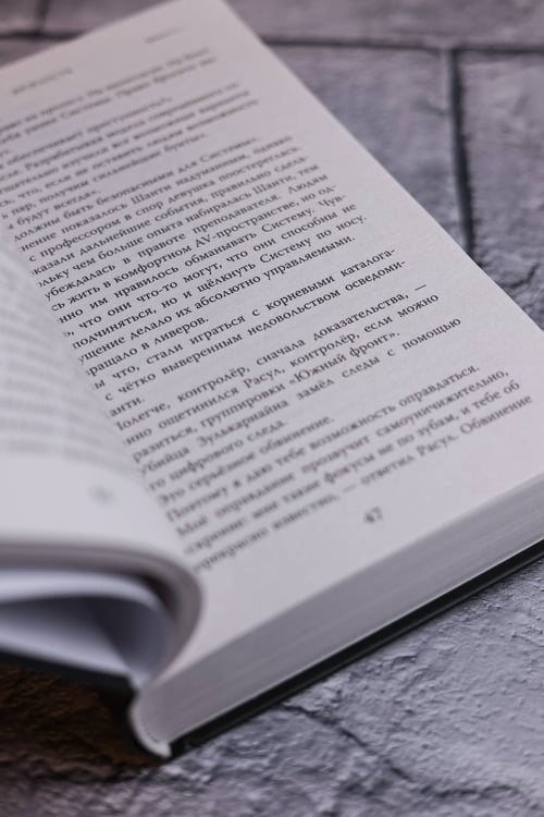 Дополнительное изображение книги «(Бес)человечность»