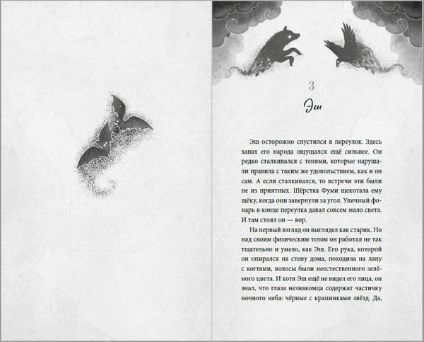 Дополнительное изображение книги «Эш из мира теней»
