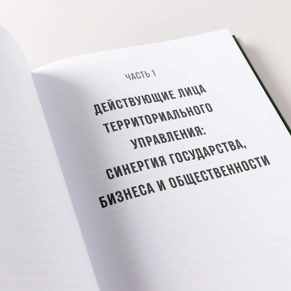 Дополнительное изображение книги «Гений места. Как альянс власти, бизнеса и сообщества меняет города»