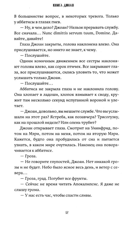 Дополнительное изображение книги «Книга Джоан»