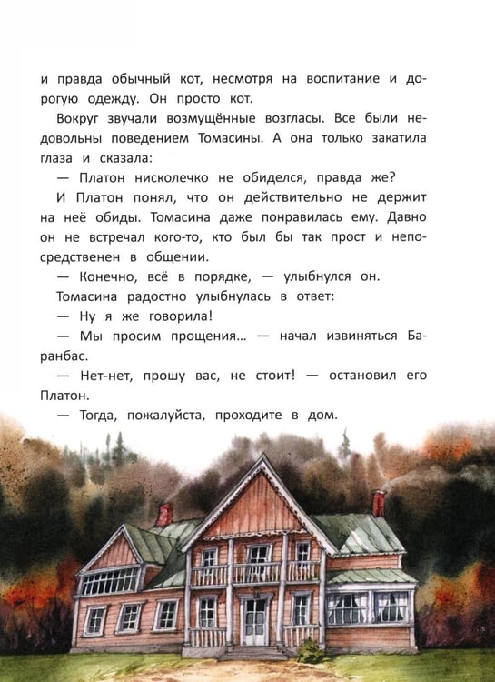 Дополнительное изображение книги «Кот Платон и тайна белых ос»