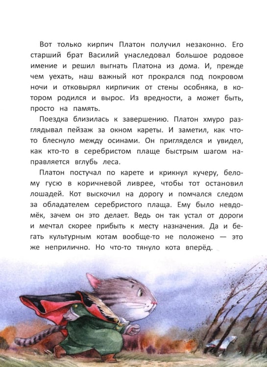 Дополнительное изображение книги «Кот Платон и тайна белых ос»