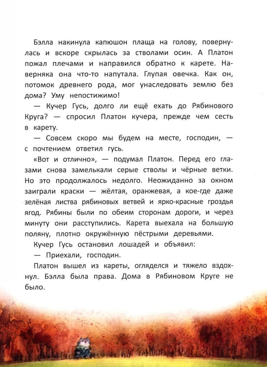 Дополнительное изображение книги «Кот Платон и тайна белых ос»