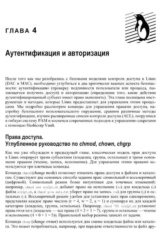 Дополнительное изображение книги «Практическая безопасность Linux»