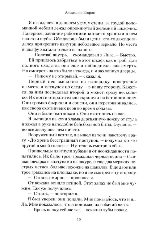Дополнительное изображение книги «Доктор Флориан: роман»