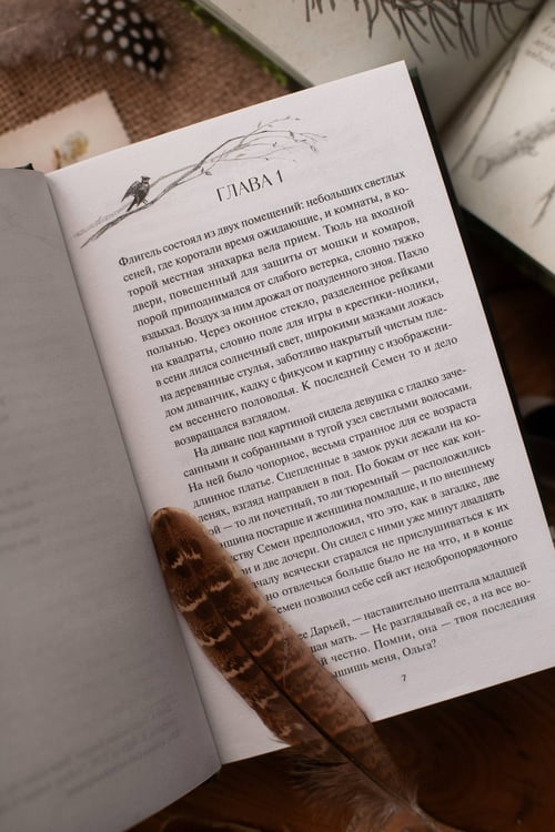 Дополнительное изображение книги «А леса у нас тихие»