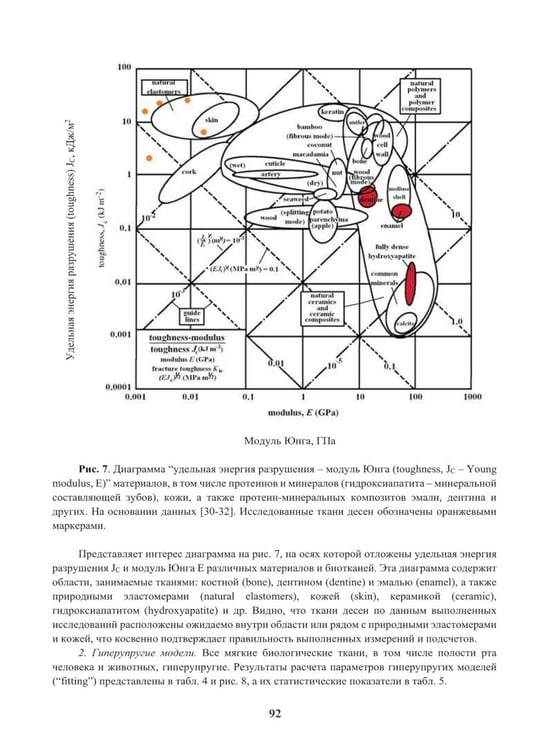 Дополнительное изображение книги «Гиперупругие свойства биологических тканей: монография»