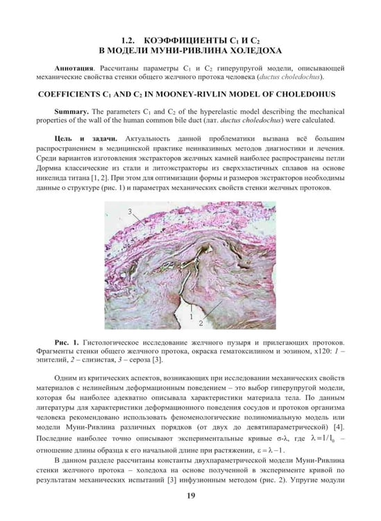 Дополнительное изображение книги «Гиперупругие свойства биологических тканей: монография»