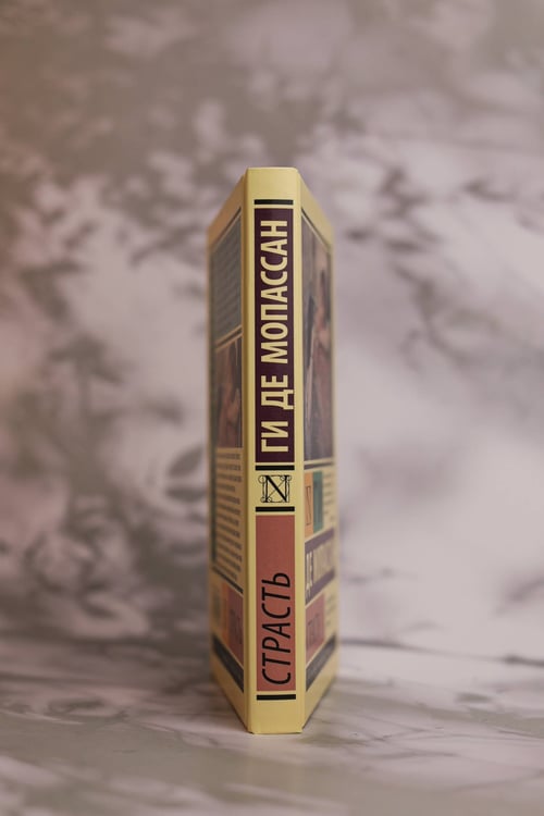 Дополнительное изображение книги «Страсть»