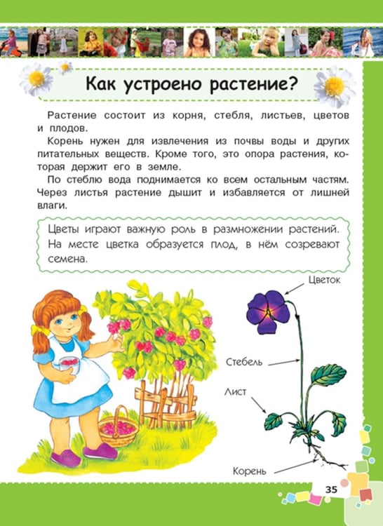 Дополнительное изображение книги «Первая энциклопедия для девочек»