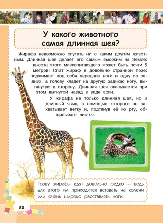 Дополнительное изображение книги «Первая энциклопедия для девочек»