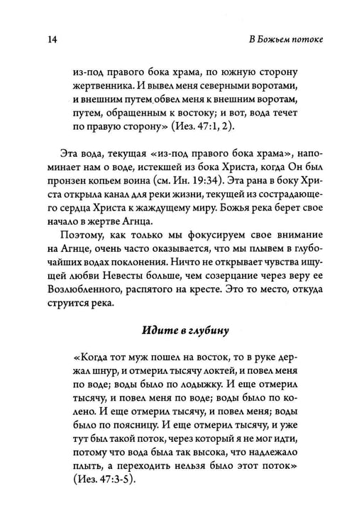 Дополнительное изображение книги «В Божьем потоке»