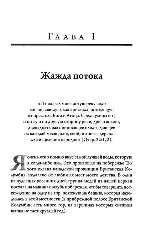 Дополнительное изображение книги «В Божьем потоке»