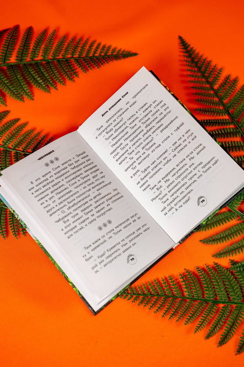 Дополнительное изображение книги «Чебурашка 2. Официальная новеллизация»