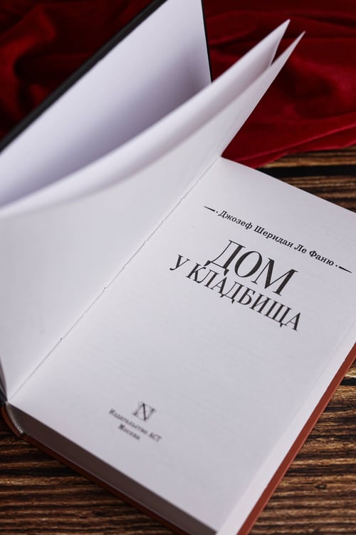 Дополнительное изображение книги «Дом у кладбища»