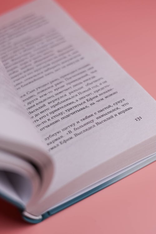 Дополнительное изображение книги «Человек из дома напротив»