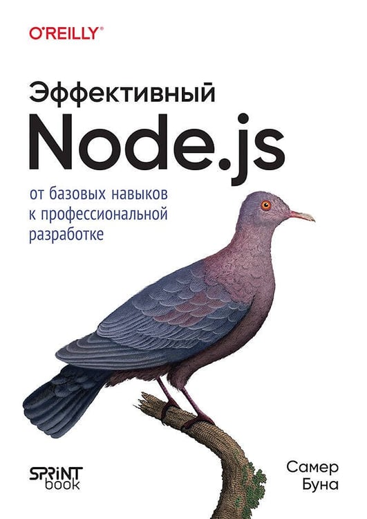 Обложка книги «Эффективный Node.js», ISBN 9786011259453