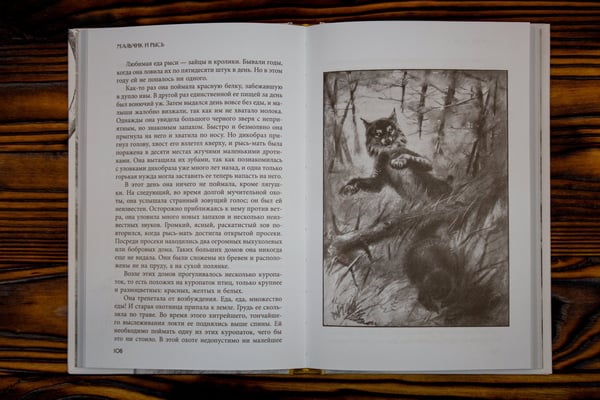 Дополнительное изображение книги «Животные-герои»