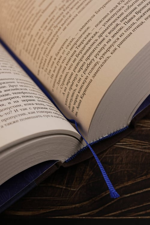 Дополнительное изображение книги «Собрание сочинений. Том 11. 2023-2024»