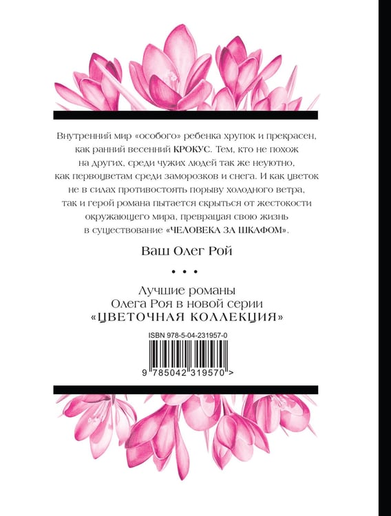 Дополнительное изображение книги «Человек за шкафом»