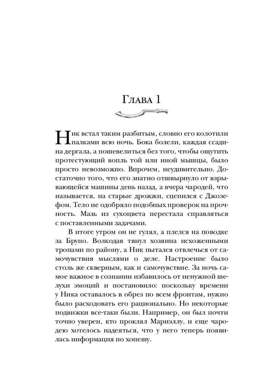 Дополнительное изображение книги «Укротитель тьмы. Т. 2»