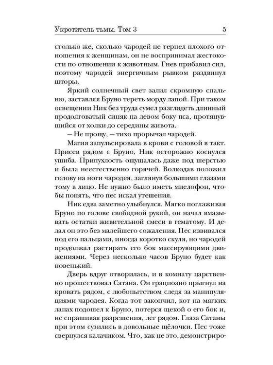 Дополнительное изображение книги «Укротитель тьмы. Т. 3»