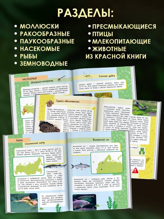 Дополнительное изображение книги «Окружающий мир. Животные»
