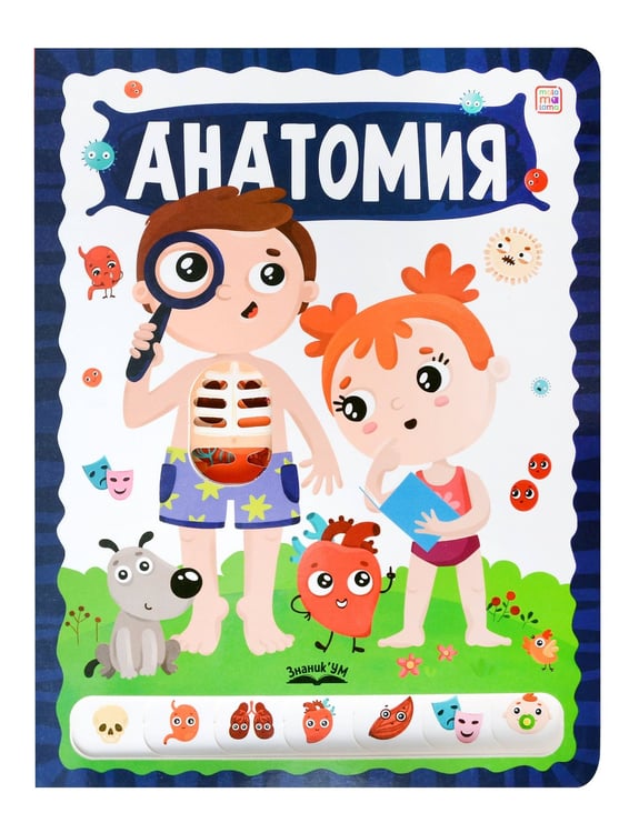 Обложка книги «ЗнаникУМ. Анатомия», ISBN 9785002300884