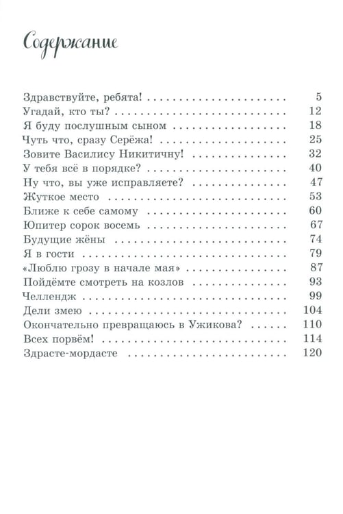 Дополнительное изображение книги «Зовите Василису Никитичну!»