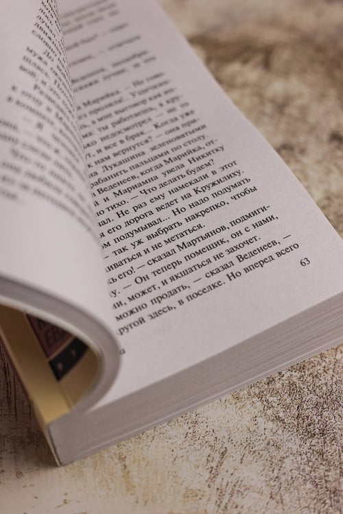 Дополнительное изображение книги «Кружилиха. Евдокия»