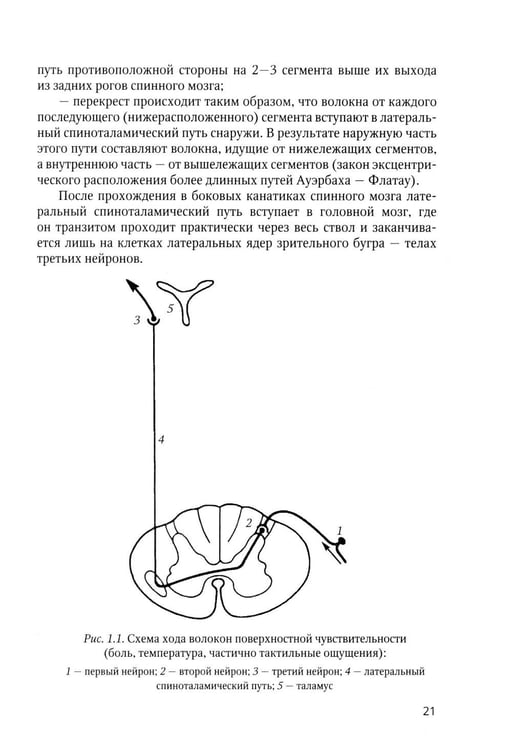 Дополнительное изображение книги «Клиническая диагностика в неврологии: руководство для врачей. 3-е изд., доп»