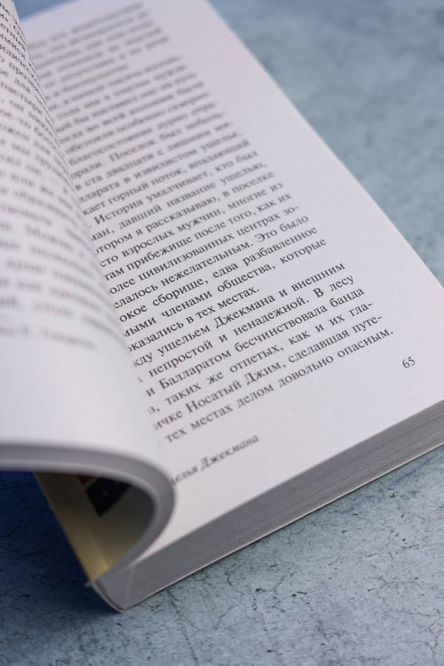 Дополнительное изображение книги «Комната кошмаров»